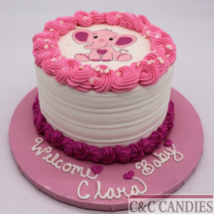 Baby Shower Cakes