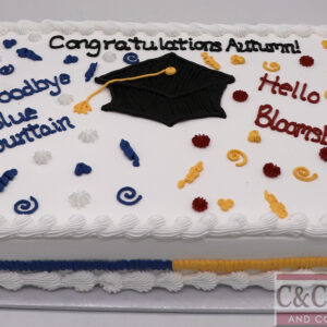 Graduation Sheet Cakes