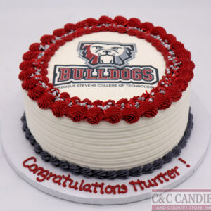 Graduation Round Cakes