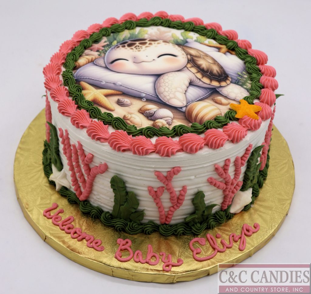 Sea Turtle Snuggles Baby Cake!