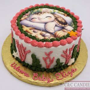 Sea Turtle Snuggles Baby Cake!