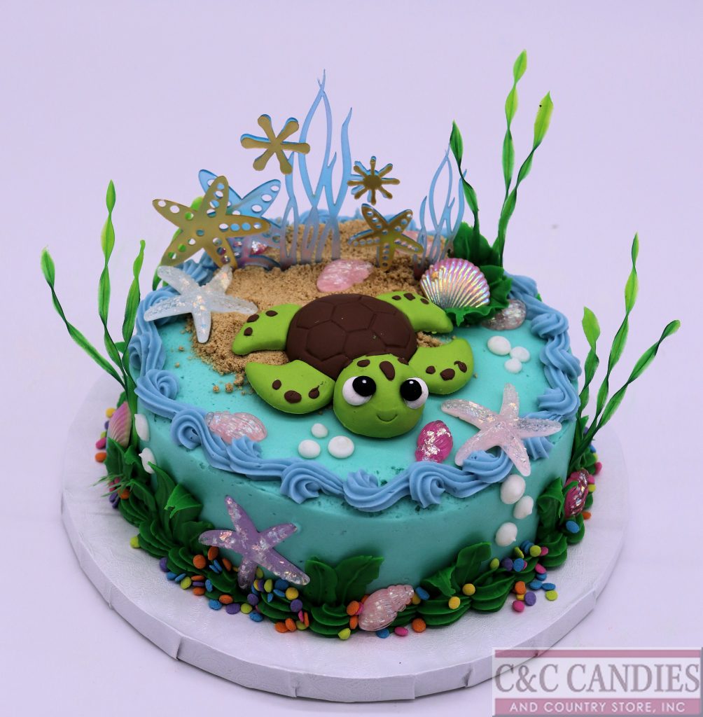 Sea Turtle Splash Round Cake
