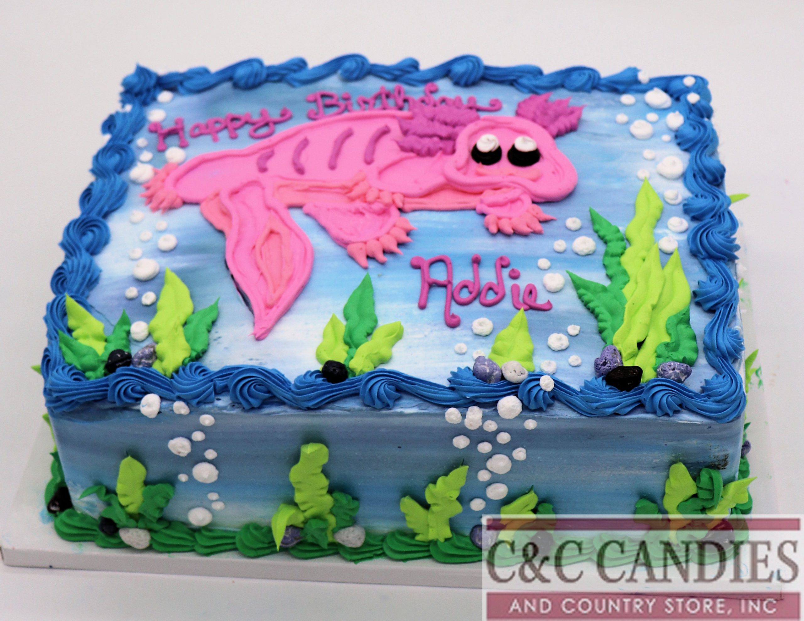 Aquatic Axolotl Cake - Image 2