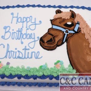 Sweet Stallion Sheet Cake