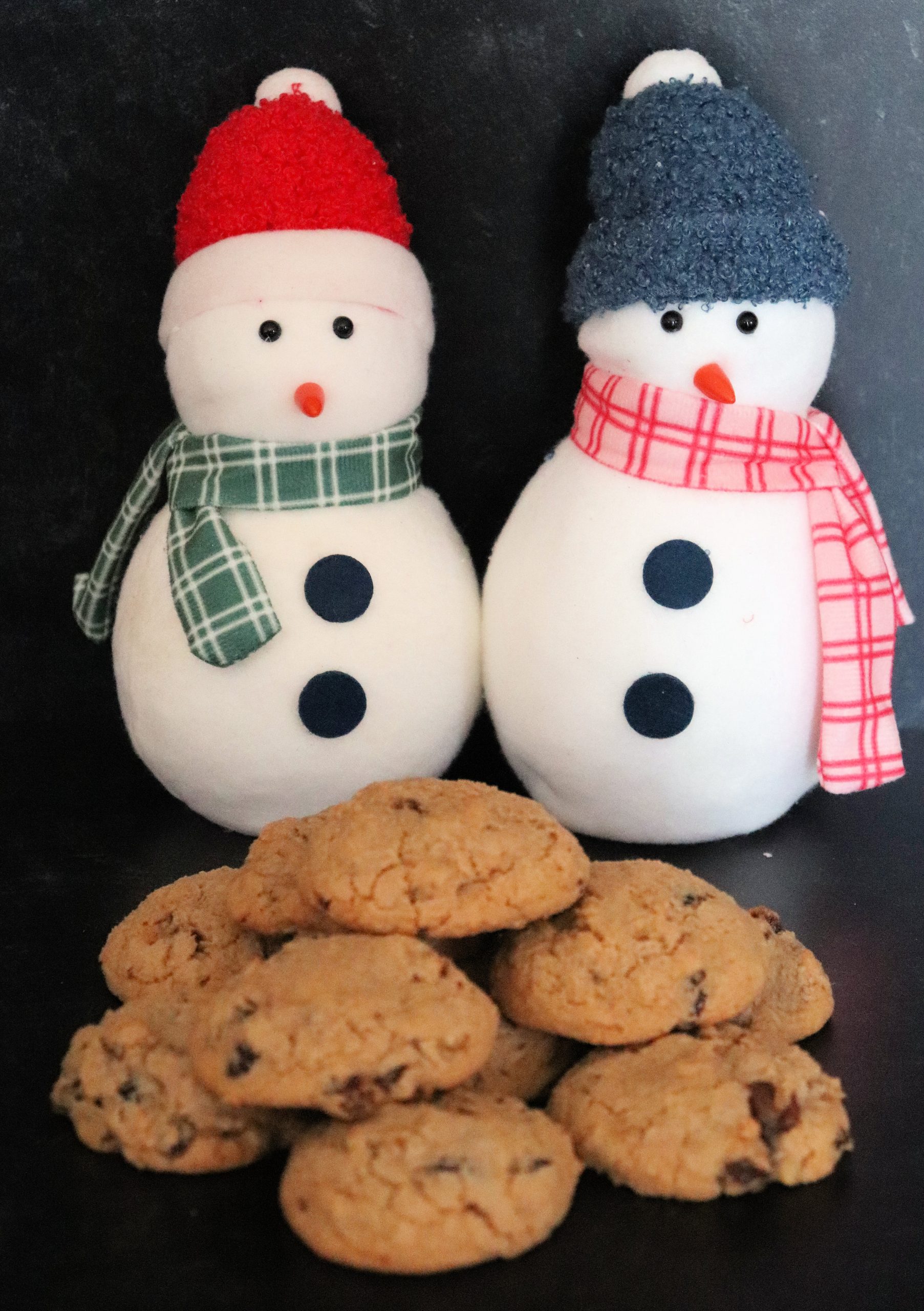 Michigan Rock Cookies - Image 3