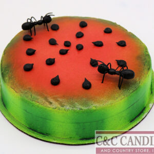 Watermelon Picnic Round Cake