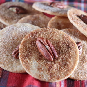 Traditional PA Dutch Sandtarts
