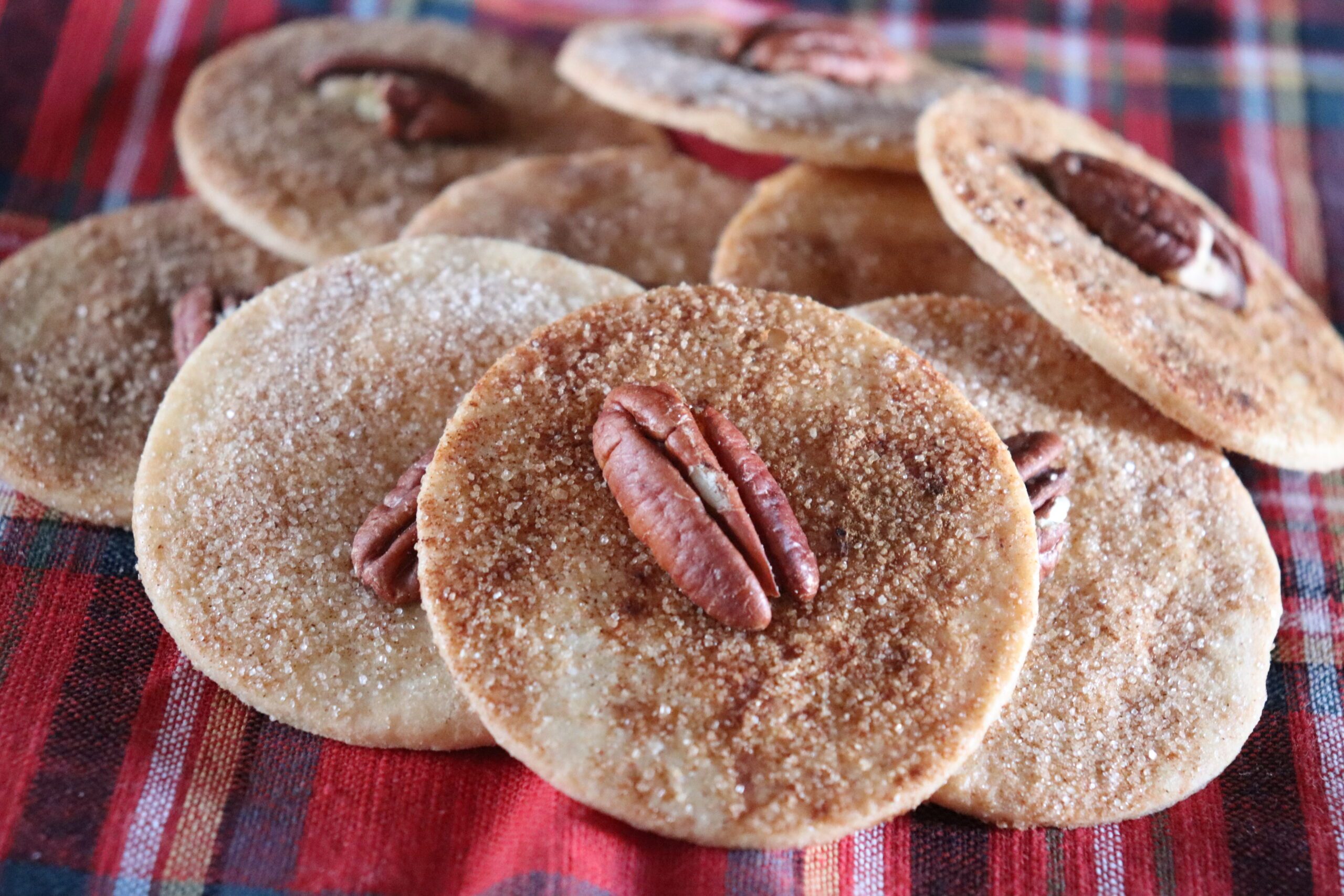 Traditional PA Dutch Sandtarts