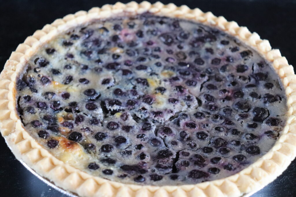 Blueberry Custard Pie